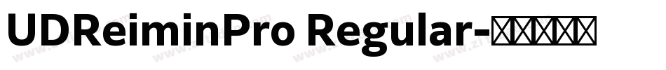 UDReiminPro Regular字体转换